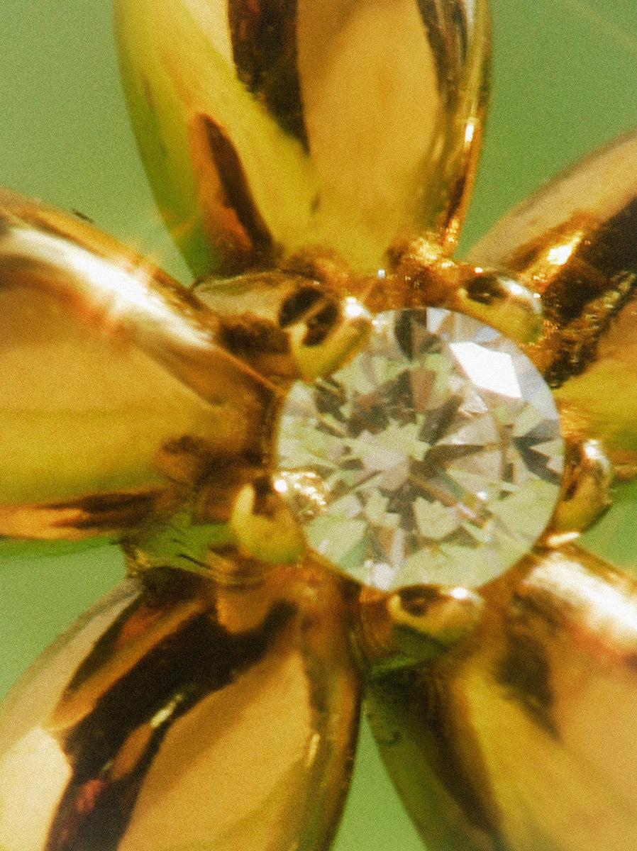 María Tamara™ | Pendientes de Flor Elegante